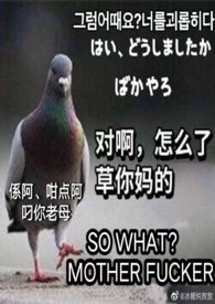 雀阁之上